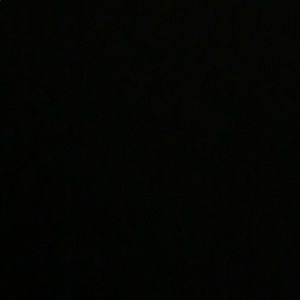 Meet your Posher, Robin